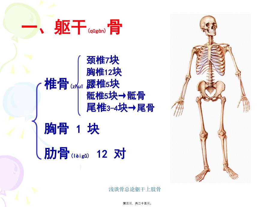 浅谈骨总论躯干上肢骨课件_第3页