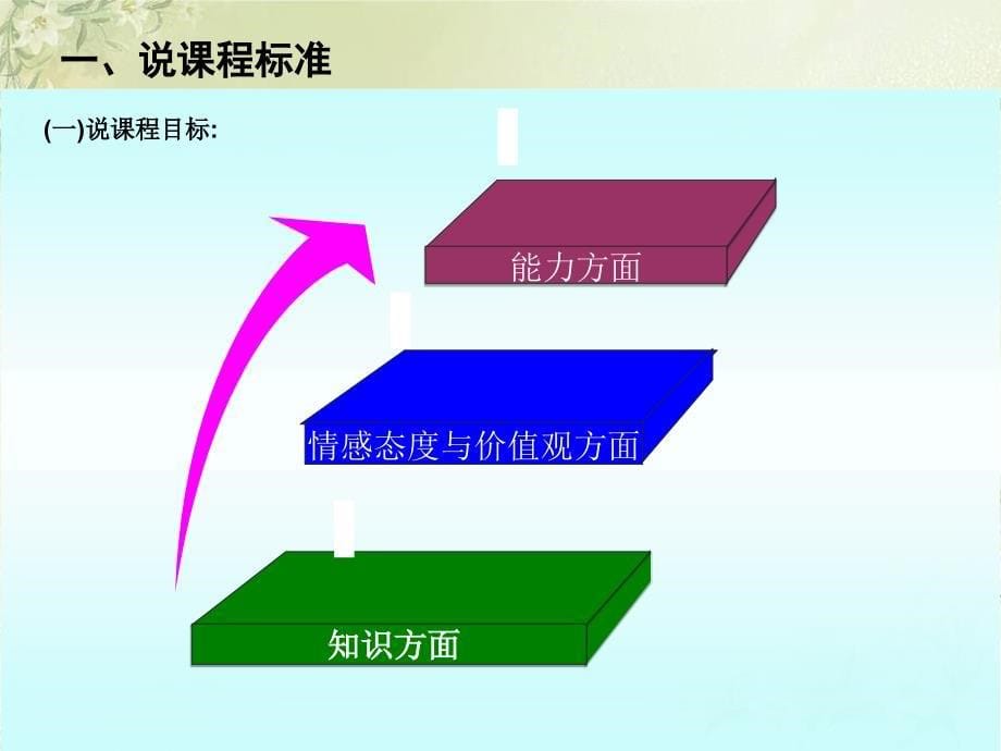 非常好的基因突变说课课件_第5页