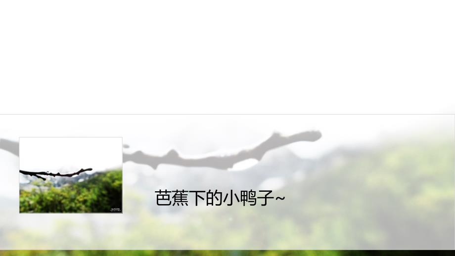 芭蕉与鸭子国画_第1页