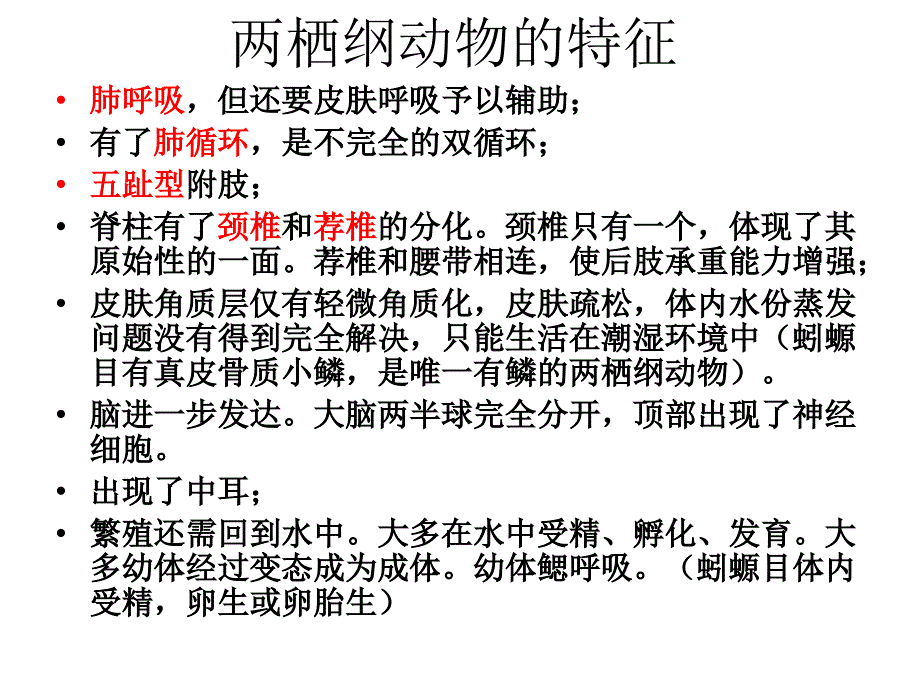 脊索动物课件：第四章两栖纲_第3页