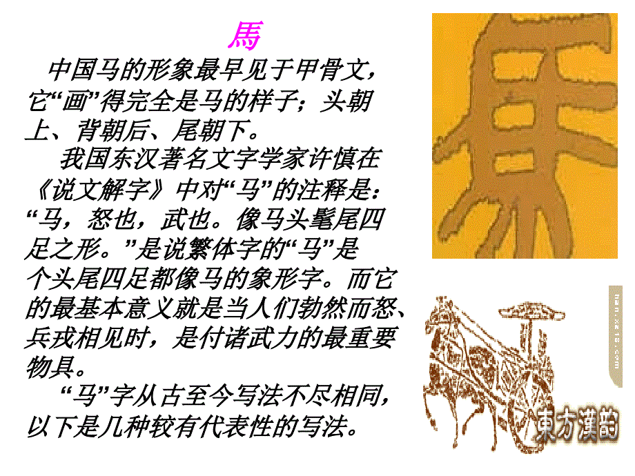 综合性学习——马的世界zmj3272194481_第4页