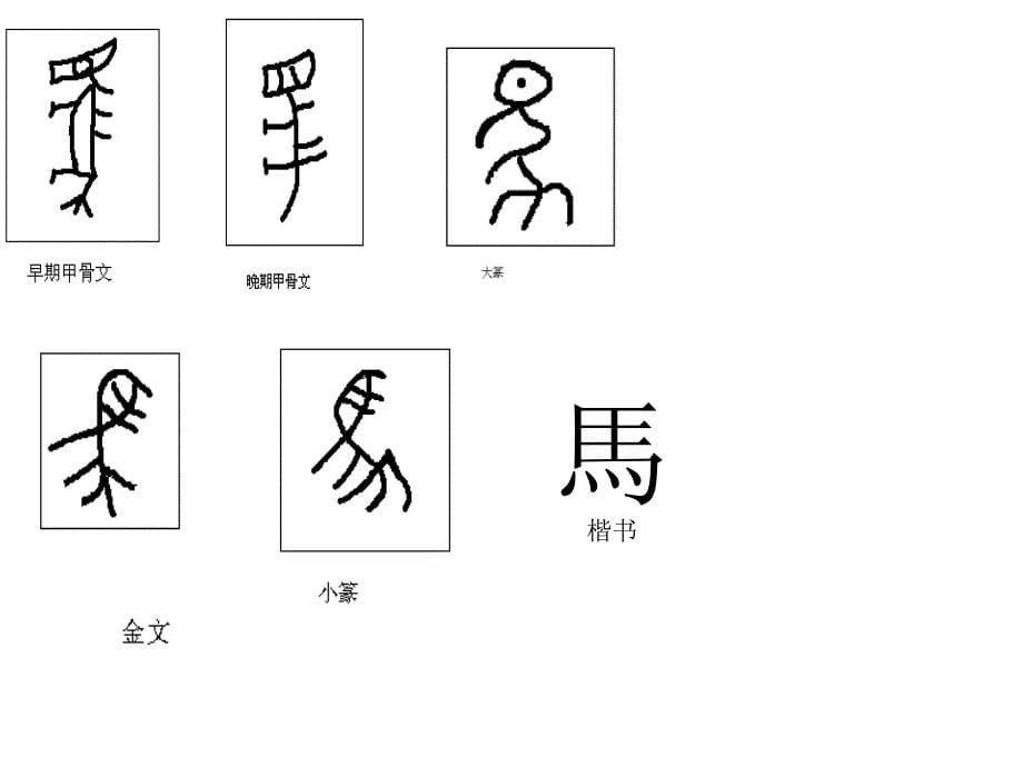 综合性学习——马的世界zmj3272194481_第5页