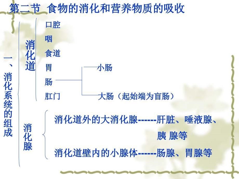 生物学七年级下册复习_第5页