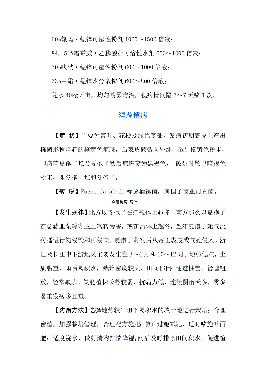 洋葱常见病害及病害防治_第5页