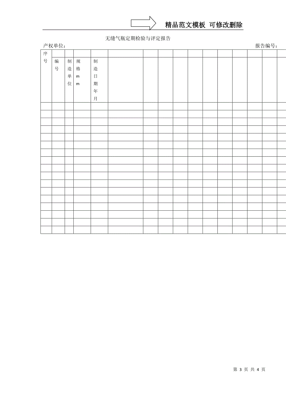 气瓶定期检验报告_第3页