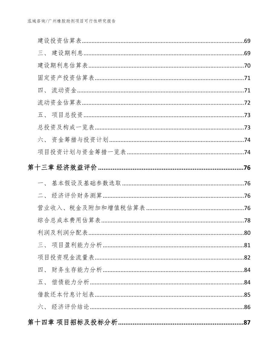 广州橡胶助剂项目可行性研究报告（模板参考）_第5页