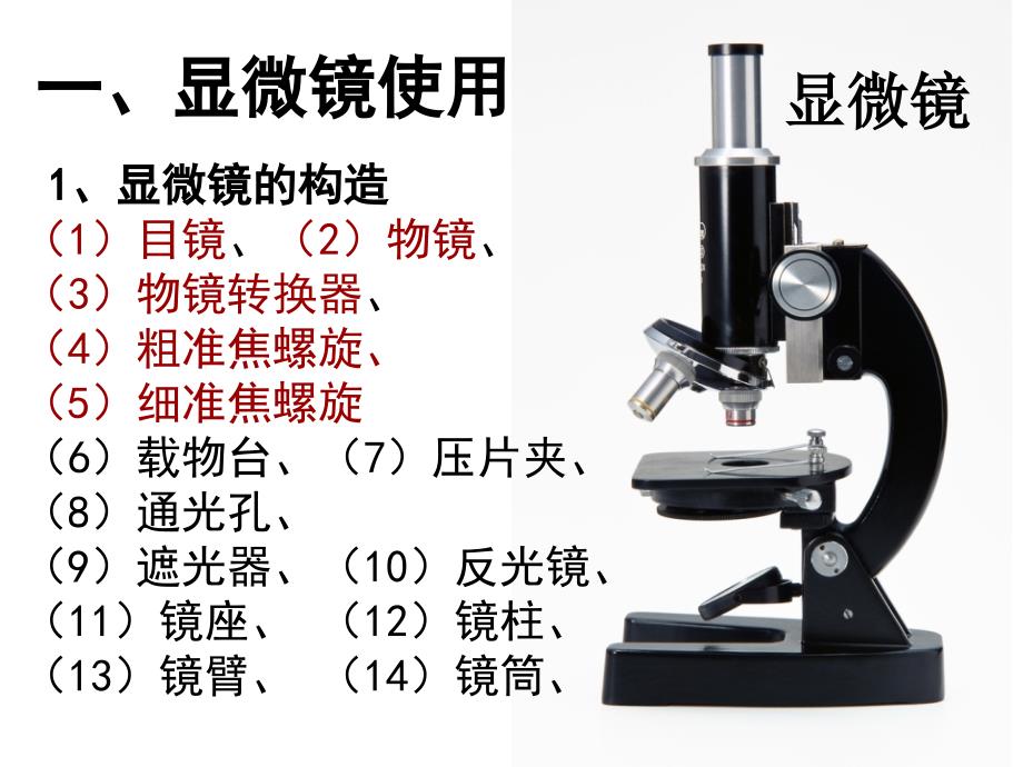 显微镜的使用、三大有机物鉴定_第2页