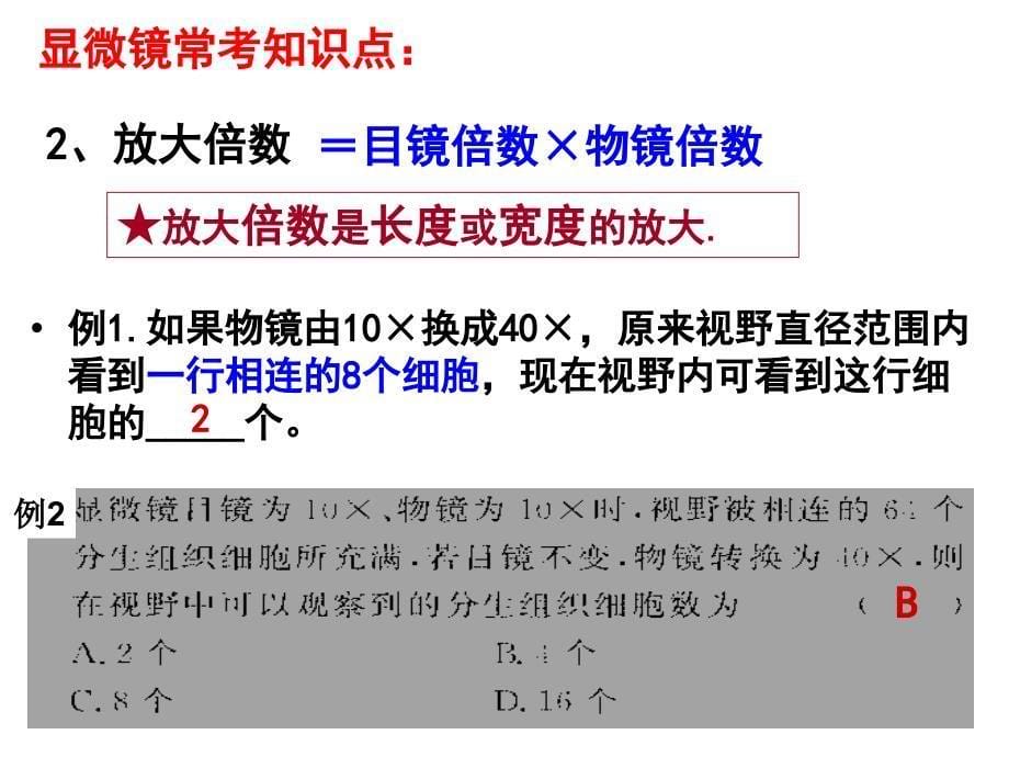 显微镜的使用、三大有机物鉴定_第5页