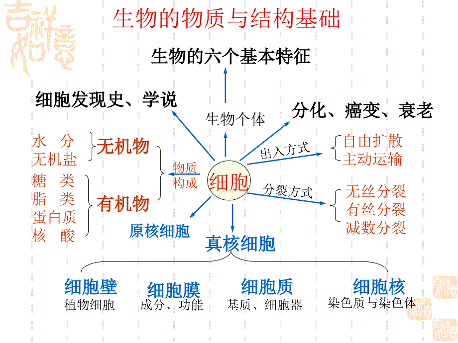 利用图表进行生物复习(精)_第2页