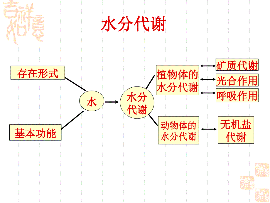 利用图表进行生物复习(精)_第3页