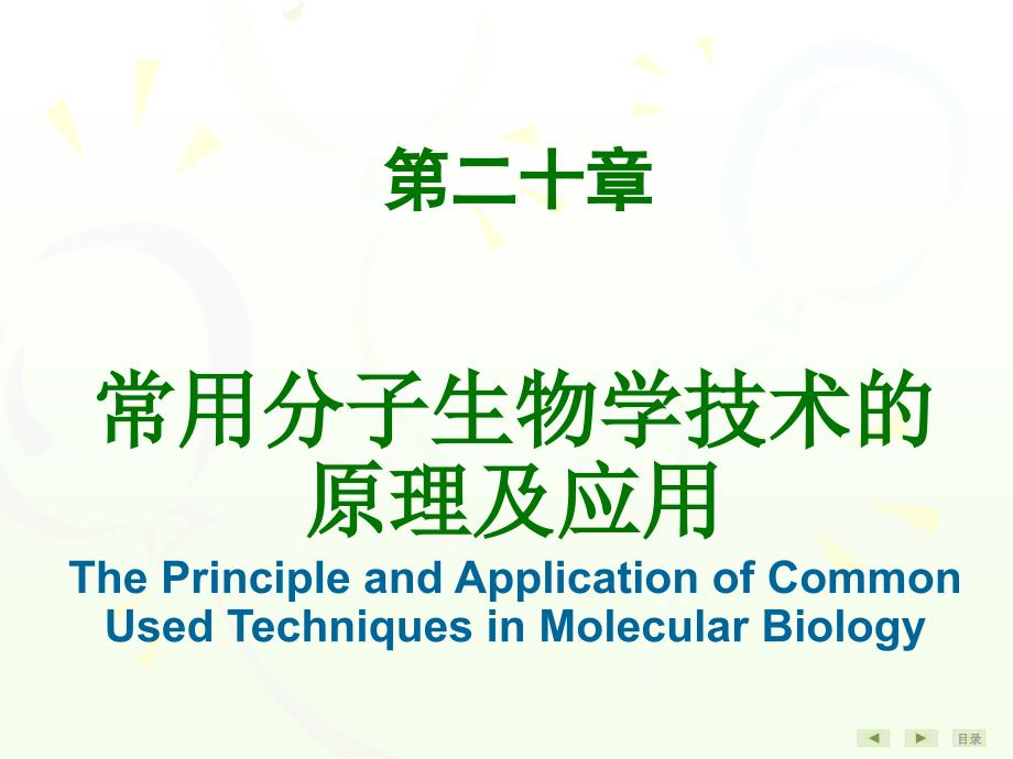 分子生物学课件：第20章 常用分子生物学技术的原理及应用_第1页