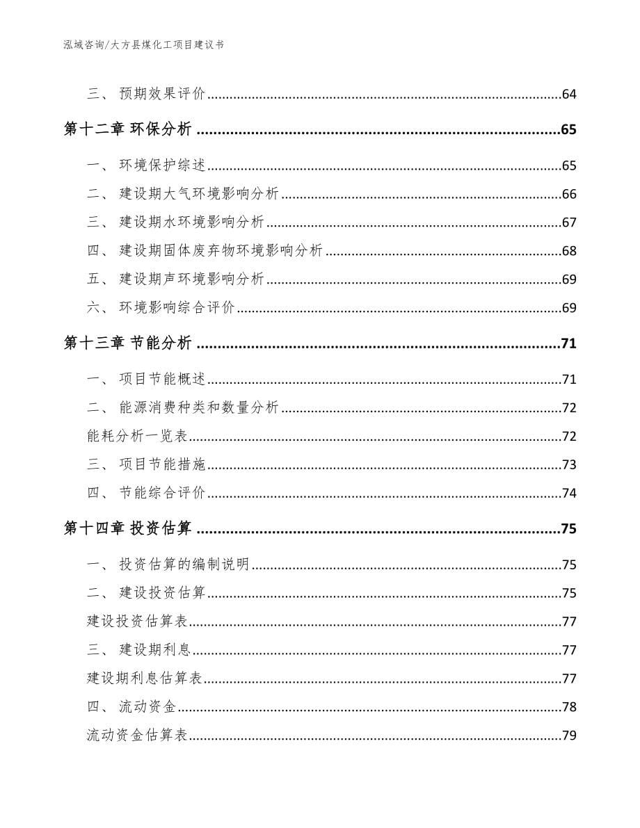大方县煤化工项目建议书范文参考_第5页