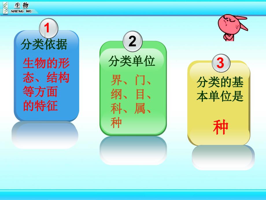 新人教版生物八年级上册从种到界_第3页