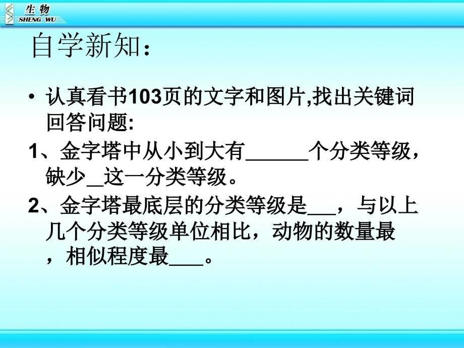 新人教版生物八年级上册从种到界_第5页