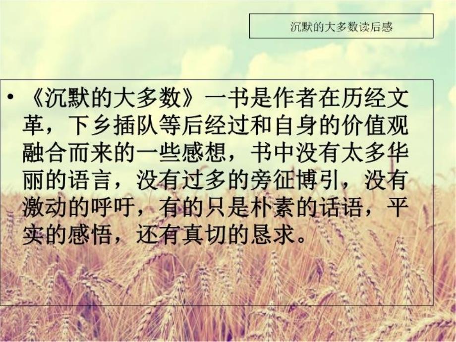 《沉默的大多数》读后感教学文稿_第4页