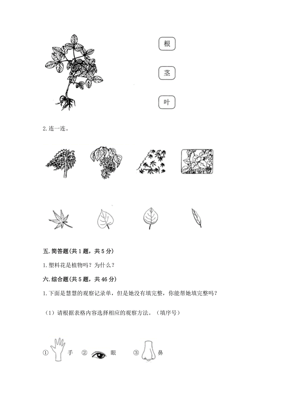 教科版科学一年级上册第一单元《植物》测试卷精品【夺冠系列】.docx_第3页