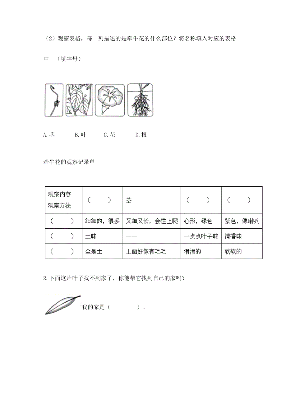 教科版科学一年级上册第一单元《植物》测试卷精品【夺冠系列】.docx_第4页