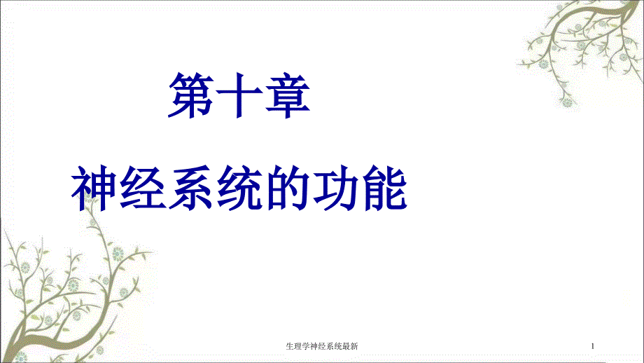 生理学神经系统最新_第1页