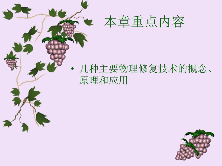 污染环境的物理修复课件PPT课件_第2页