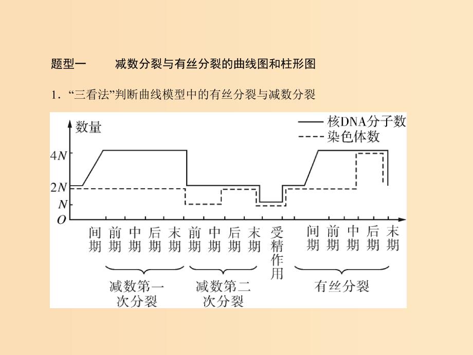 2019版高考生物一轮总复习 第2章 基因和染色体的关系 小专题五 减数分裂和有丝分裂题型突破课件 必修2.ppt_第2页