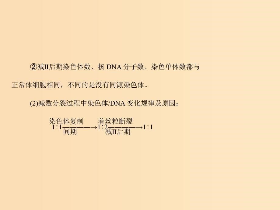 2019版高考生物一轮总复习 第2章 基因和染色体的关系 小专题五 减数分裂和有丝分裂题型突破课件 必修2.ppt_第5页