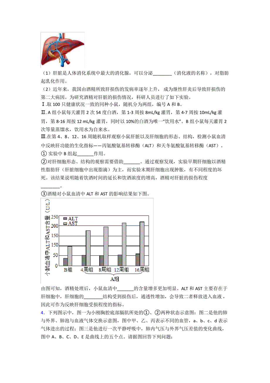 人教中学七年级下册生物期末解答实验探究大题质量监测卷附答案word36704_第2页