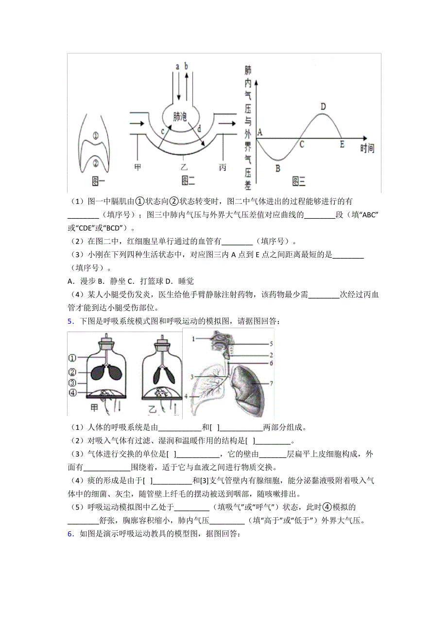 人教中学七年级下册生物期末解答实验探究大题质量监测卷附答案word36704_第3页