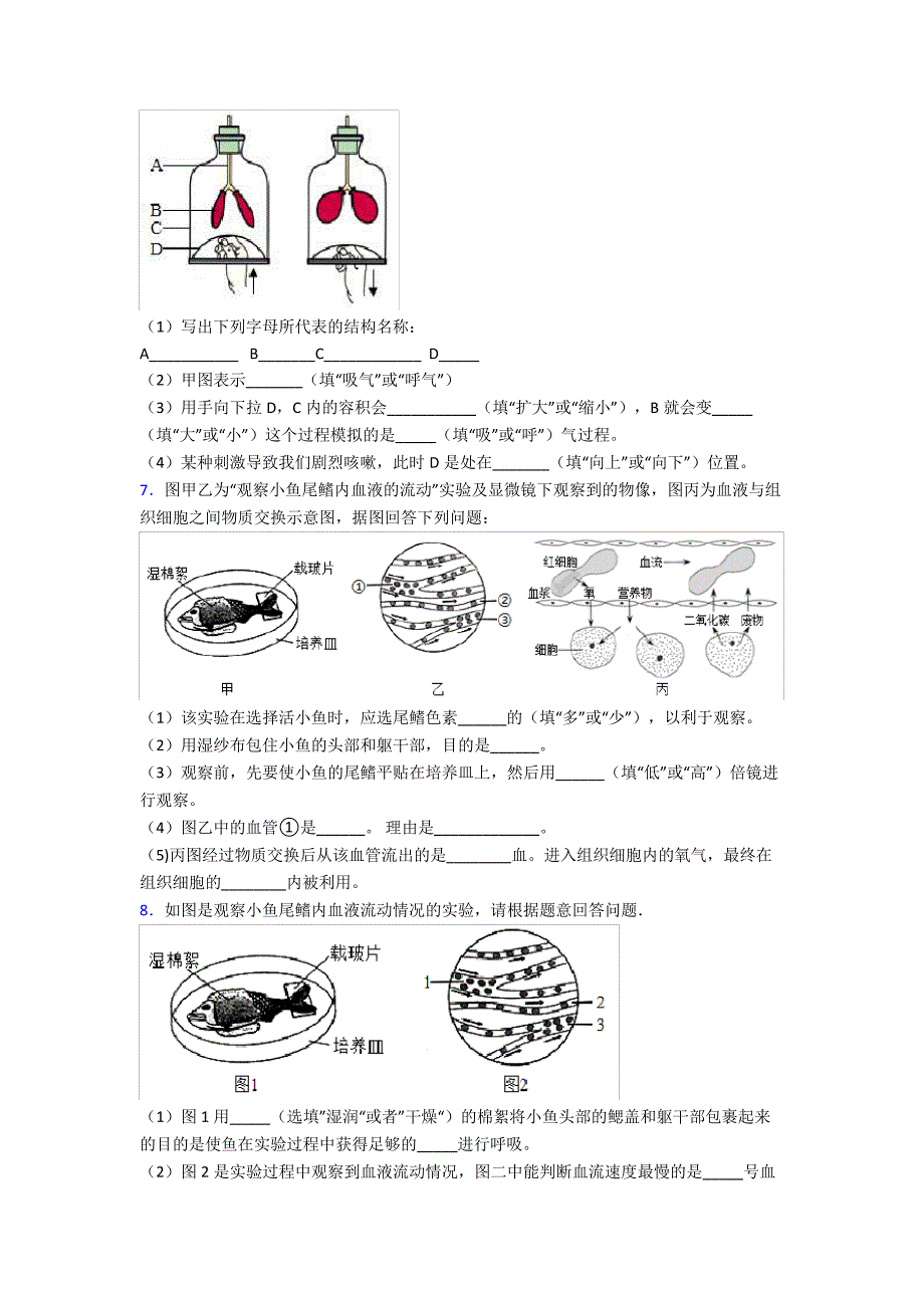 人教中学七年级下册生物期末解答实验探究大题质量监测卷附答案word36704_第4页