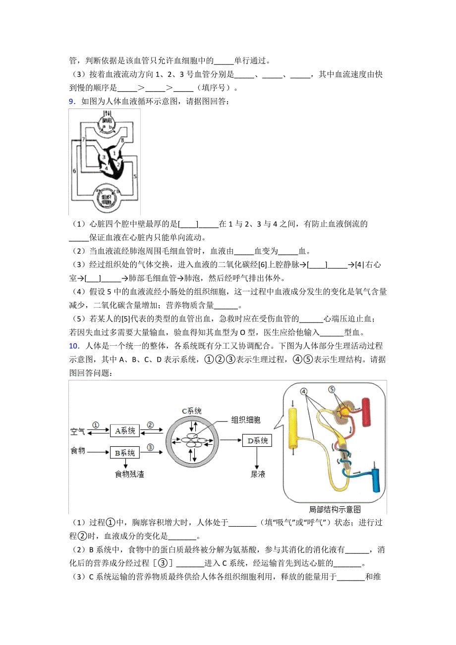 人教中学七年级下册生物期末解答实验探究大题质量监测卷附答案word36704_第5页