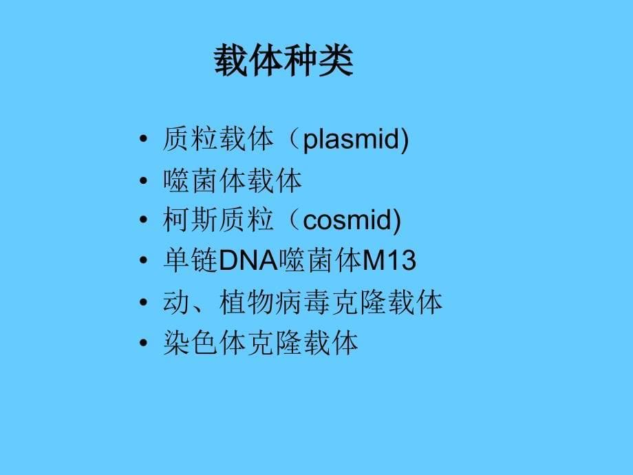 基因工程载体_第5页