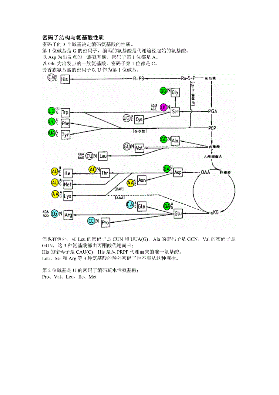 密码子结构与氨基酸性质_第1页