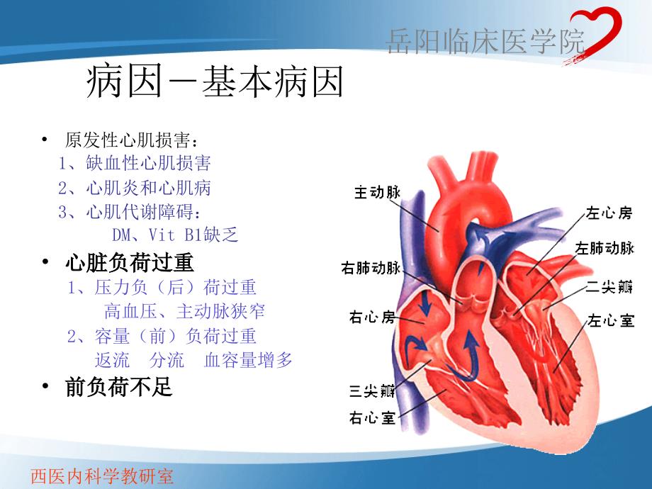 循环系统岳阳医院心内科符德玉_第3页