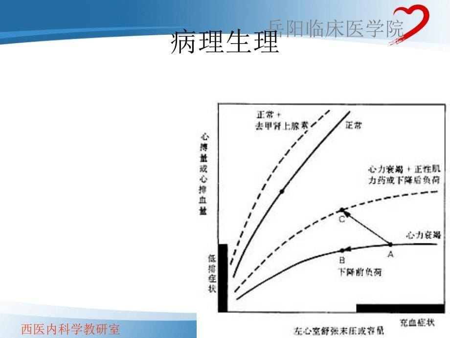 循环系统岳阳医院心内科符德玉_第5页