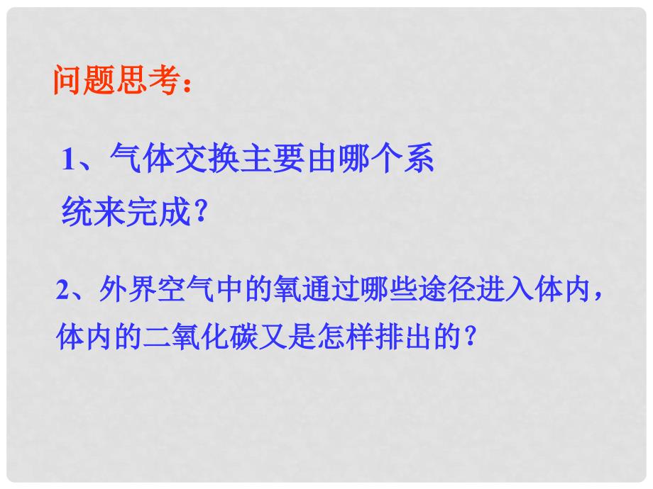 山东省泰安市新泰七年级生物下册 第三章 人体的呼吸复习课件 新人教版_第2页