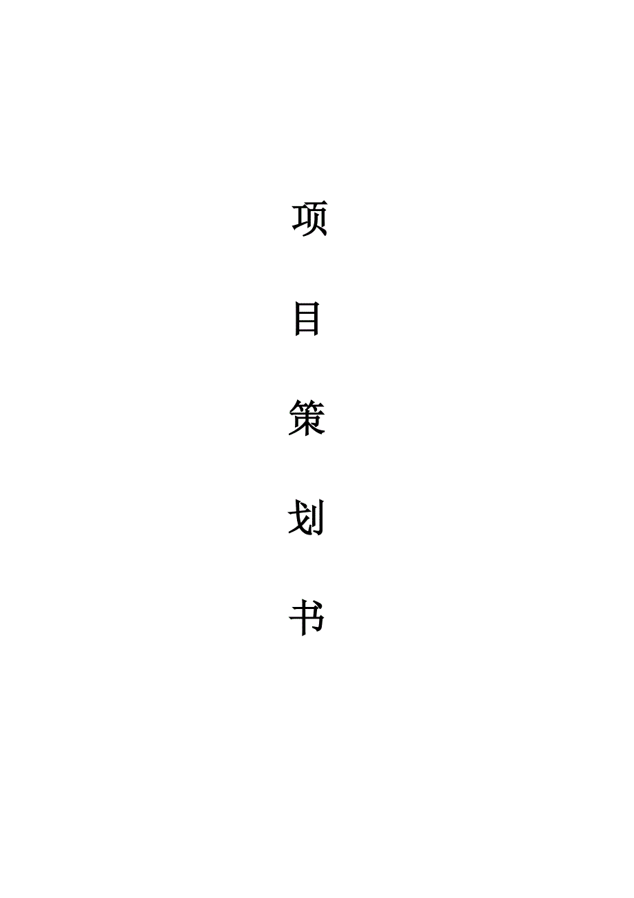 电子产品项目策划书_第1页