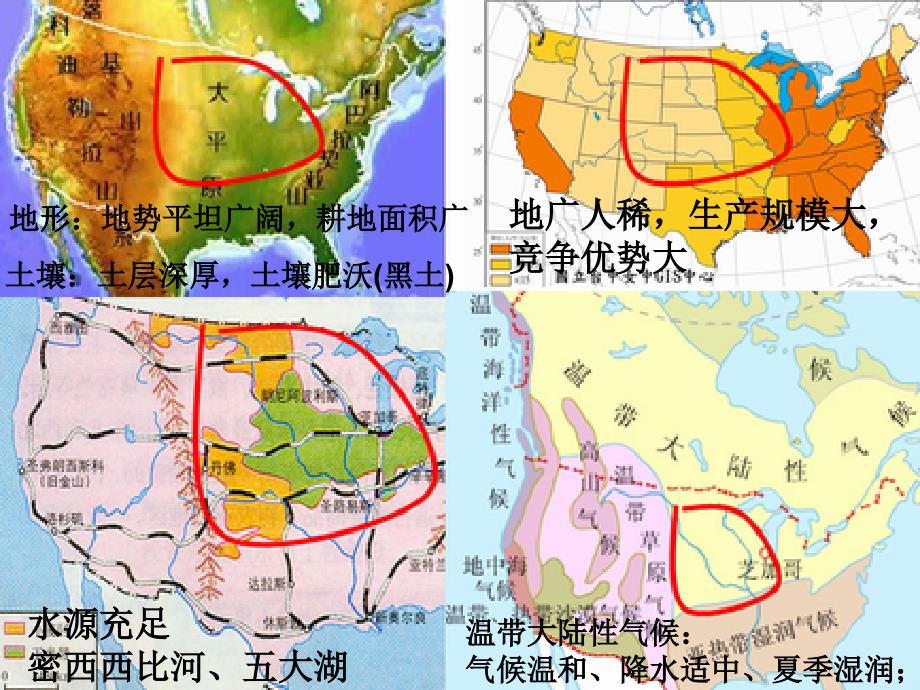 32商品谷物农业_第3页