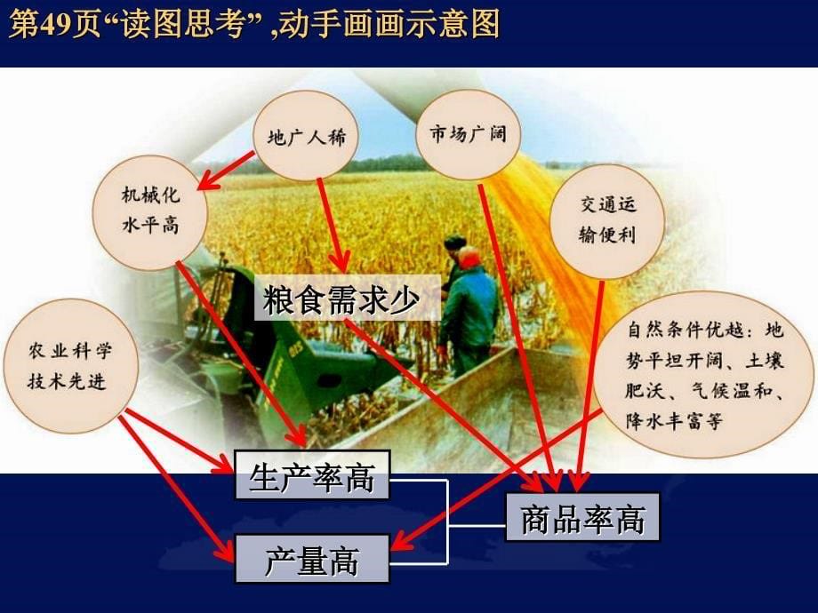 32商品谷物农业_第5页