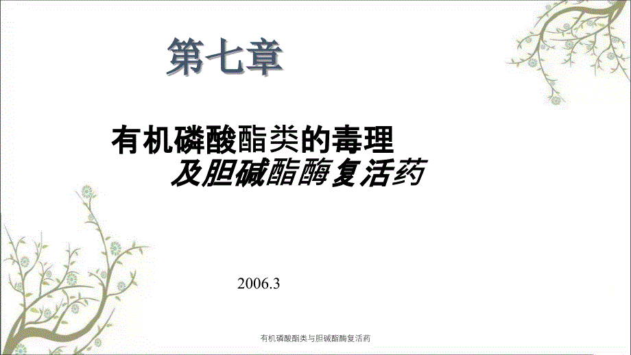 有机磷酸酯类与胆碱酯酶复活药_第1页