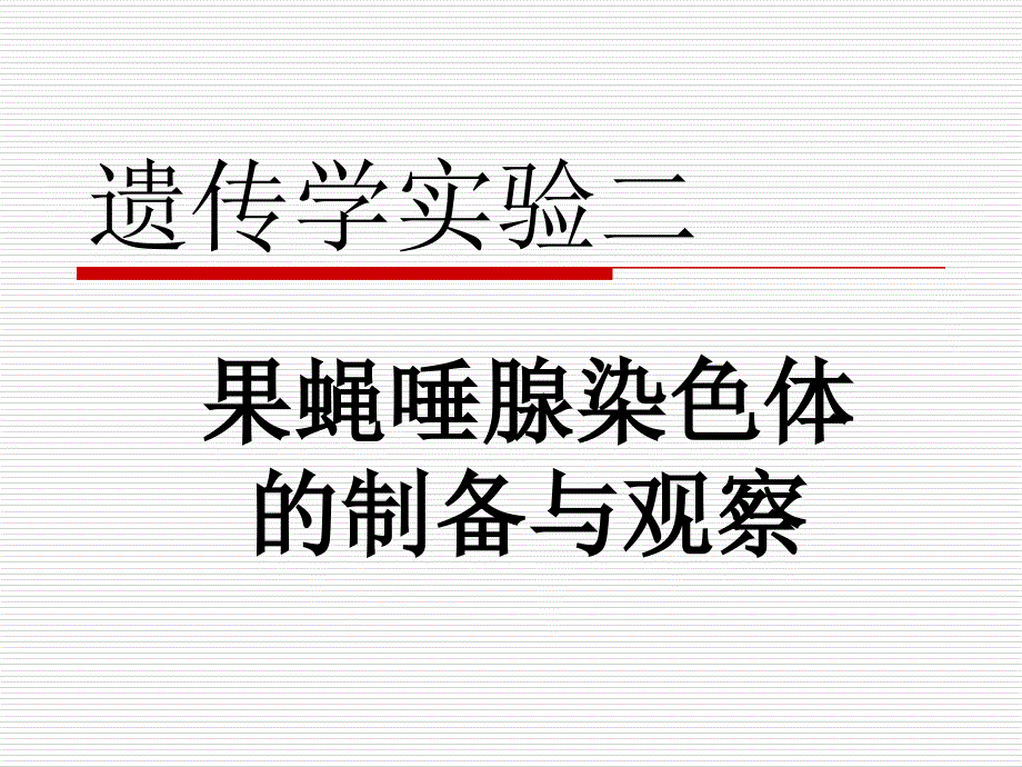 遗传学实验-果蝇唾腺染色体_第1页
