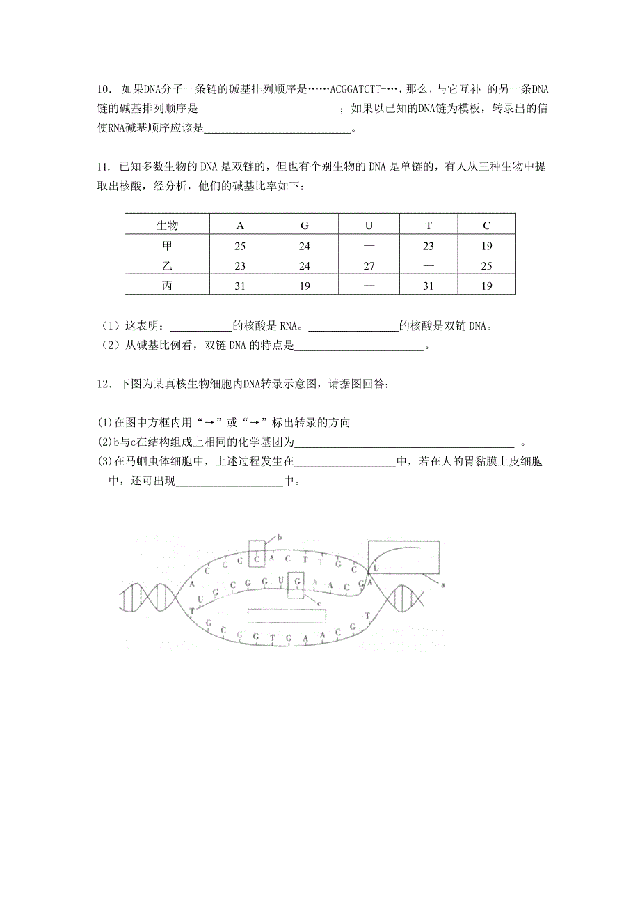 湖南省怀化市湖天中学高一生物必修二教学案：4.1基因指导蛋白质的的合成(第1课时)_第4页