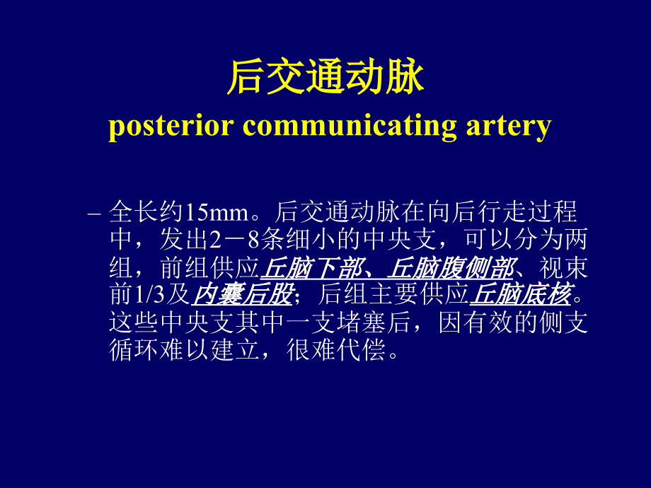 [临床医学]丘脑底节区脑血管解剖_第2页