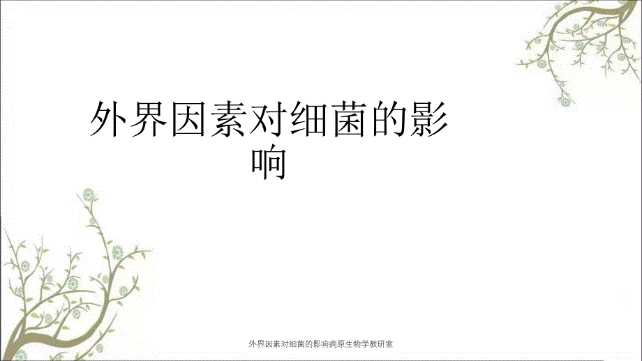 外界因素对细菌的影响病原生物学教研室_第1页