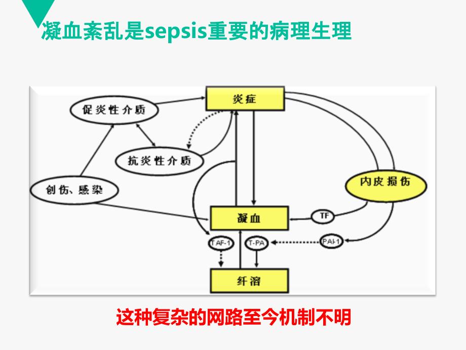 脓毒症相关血小板减少症PPT课件_第5页