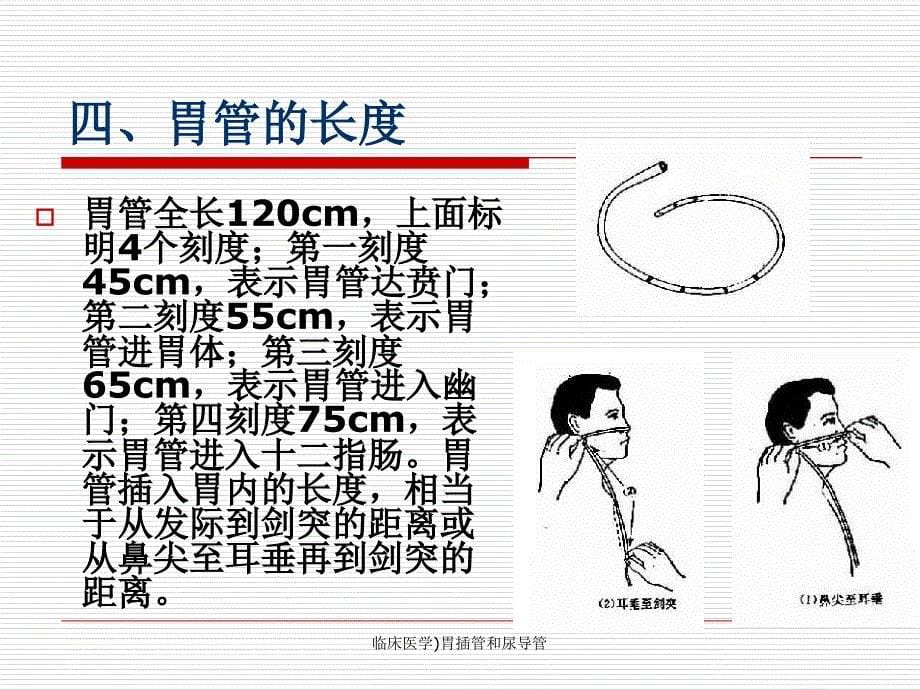 临床医学胃插管和尿导管课件_第5页