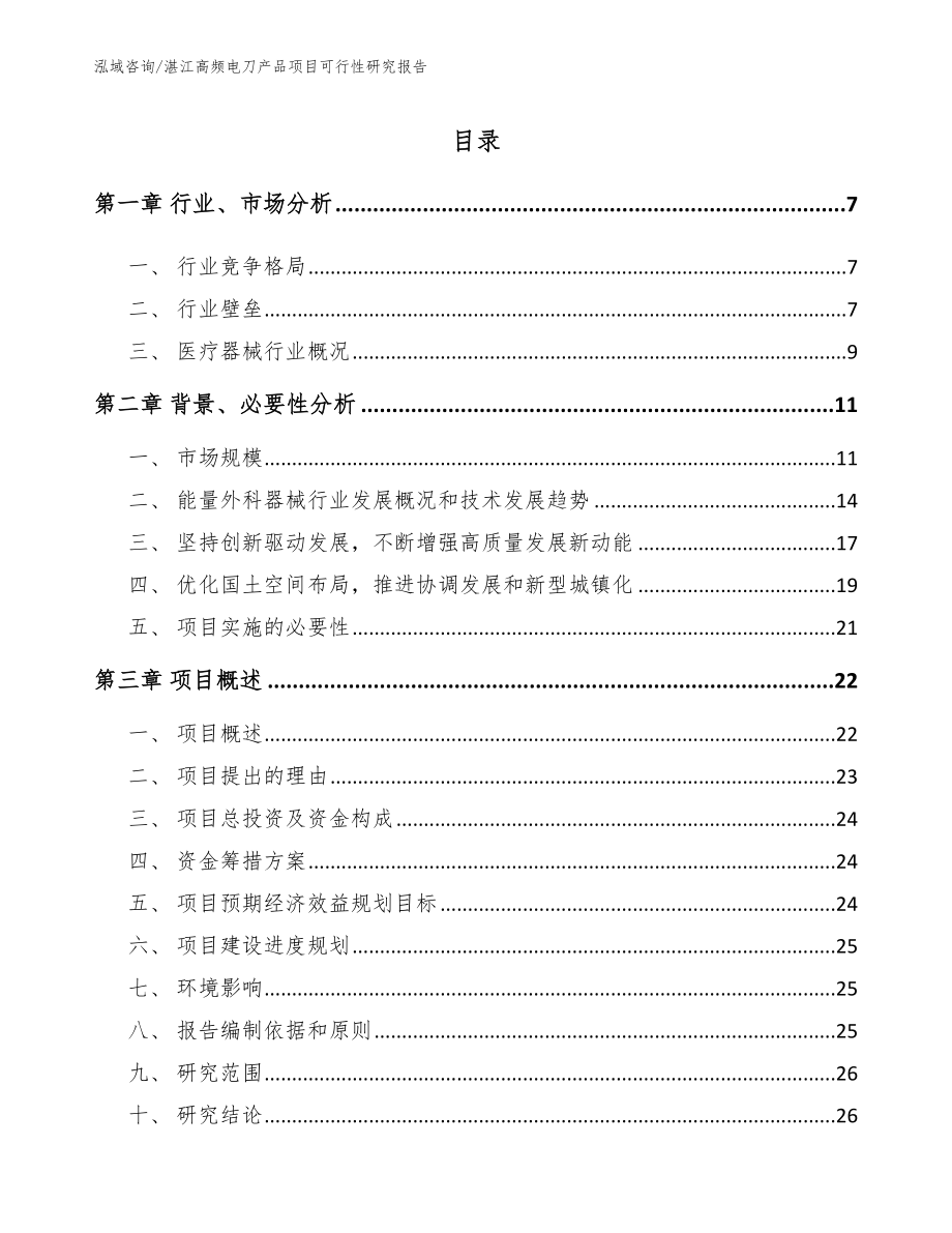 湛江高频电刀产品项目可行性研究报告_模板范文_第1页