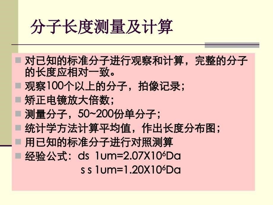 生物大分子的电子显微镜技术_第5页