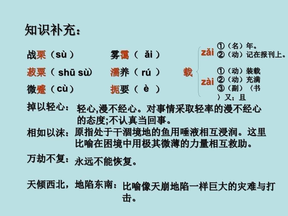 单薄生命的响亮宣战我很重要_第5页