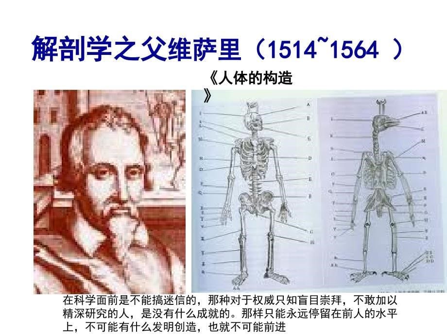 医学生理学：血液循环_第5页