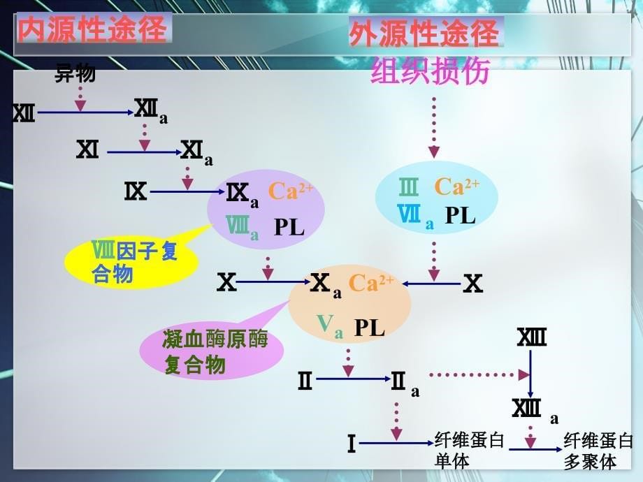 抗凝药分类及作用机制_第5页