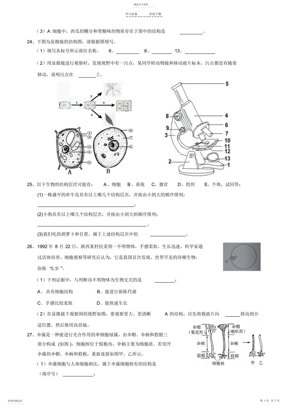 2022年浙教版科学第一轮复习专题训练：观察多种多样的生物和细胞_第4页
